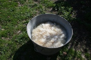 al-terre-ferme-lavage-laine