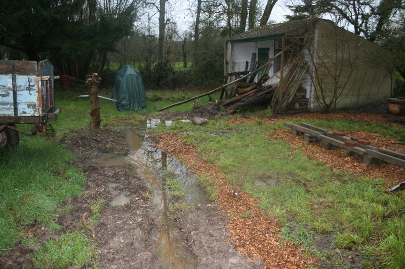 La petite tranchée commencée pour l'enclos à venir pleine d'eau, et les groseilliers fraîchement plantés les racines dans l'eau...