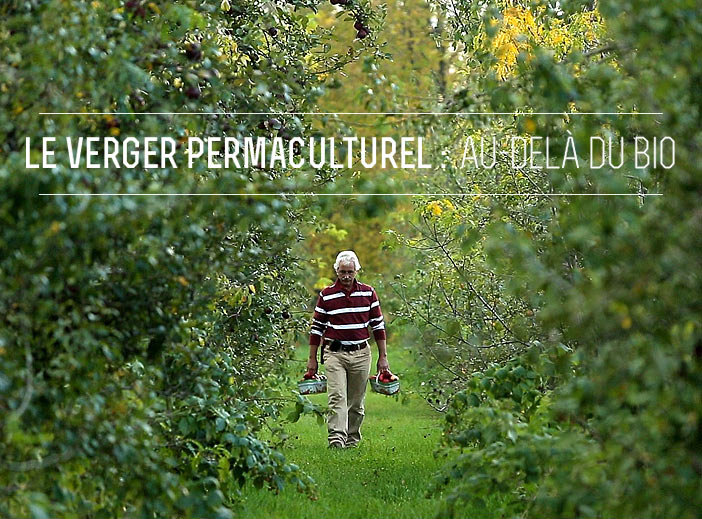 Permaculture orchard